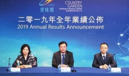 碧桂园最新爆料新闻报道,揭秘项目进展与市场动态