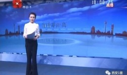 西安爆料最新消息新闻事件,揭秘XX事件背后真相