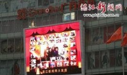 湛江今天新闻最新爆料,重大事件引发社会关注