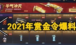 最新赏金令爆料,神秘任务与巨额悬赏背后的秘密