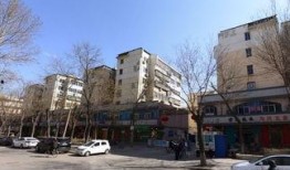 石家庄桃园里最新爆料,揭秘神秘爆料背后的真相