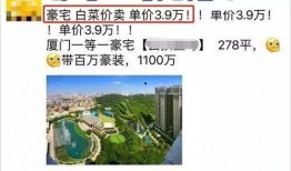 厦门楼市 爆料最新消息,揭秘热点区域价格走势与政策动向