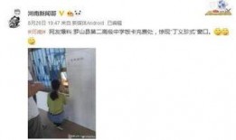 河南姐夫哥最新爆料新闻,揭秘惊人内幕，引发社会热议