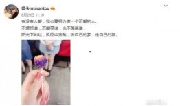 绿地女主最新爆料,揭露惊人内幕，真相令人震惊