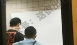 河北美院爆料视频大全最新,揭秘校园风云与艺术魅力