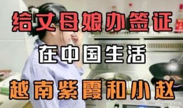 紫霞小赵最新动态爆料,揭秘娱乐圈幕后真相