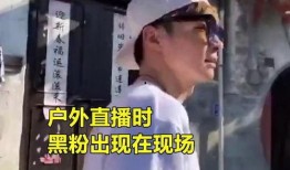 枞阳黑粉爆料事件最新情况,真相与争议交织”