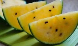 甘肃最新的瓜爆料,瓜果飘香，丰收喜讯传四方