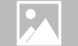 明日之后最新爆料活动,神秘活动即将开启，揭秘生存世界新篇章！